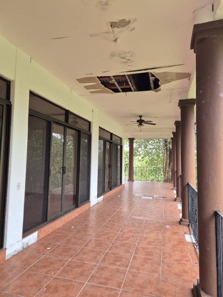 teak farm plantation for sale guanacaste (14)