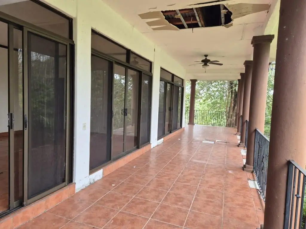 teak farm plantation for sale guanacaste (15)