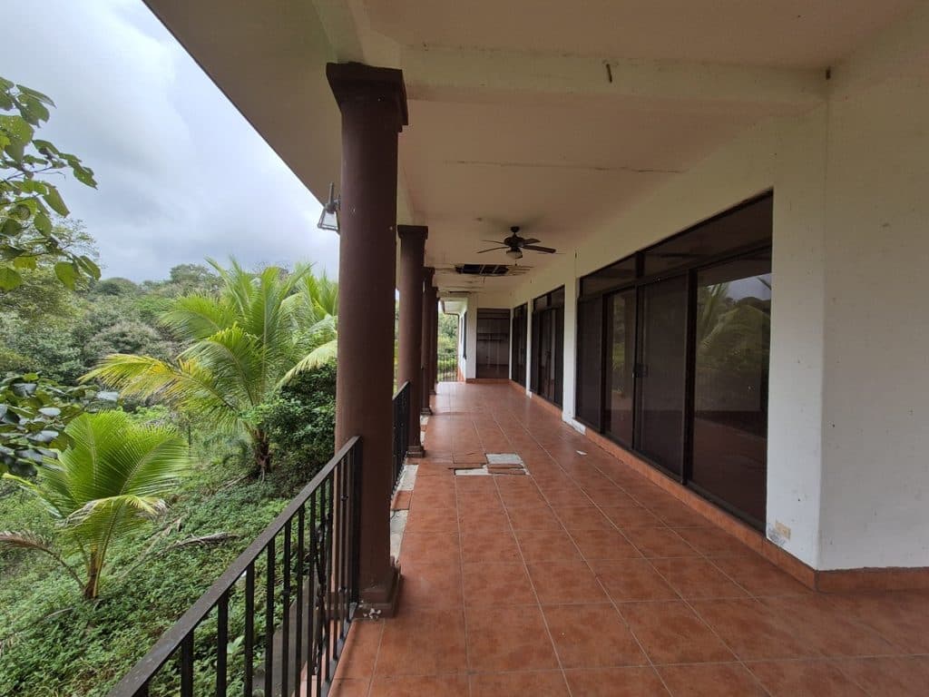 teak farm plantation for sale guanacaste (19)