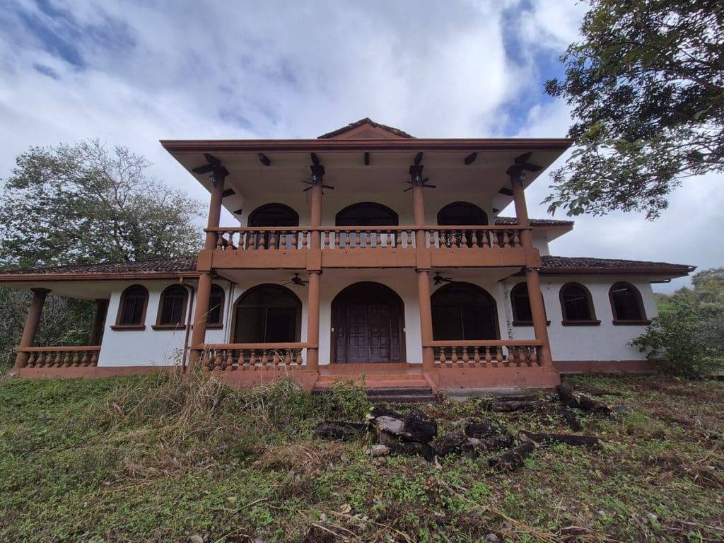 teak farm plantation for sale guanacaste (24)