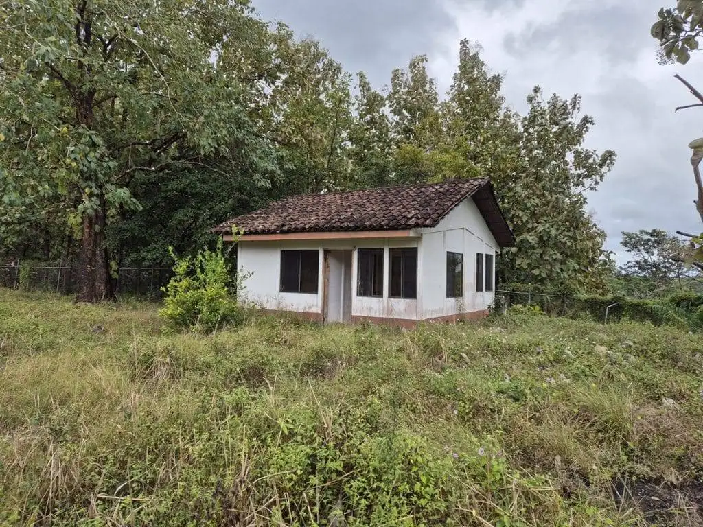 teak farm plantation for sale guanacaste (27)