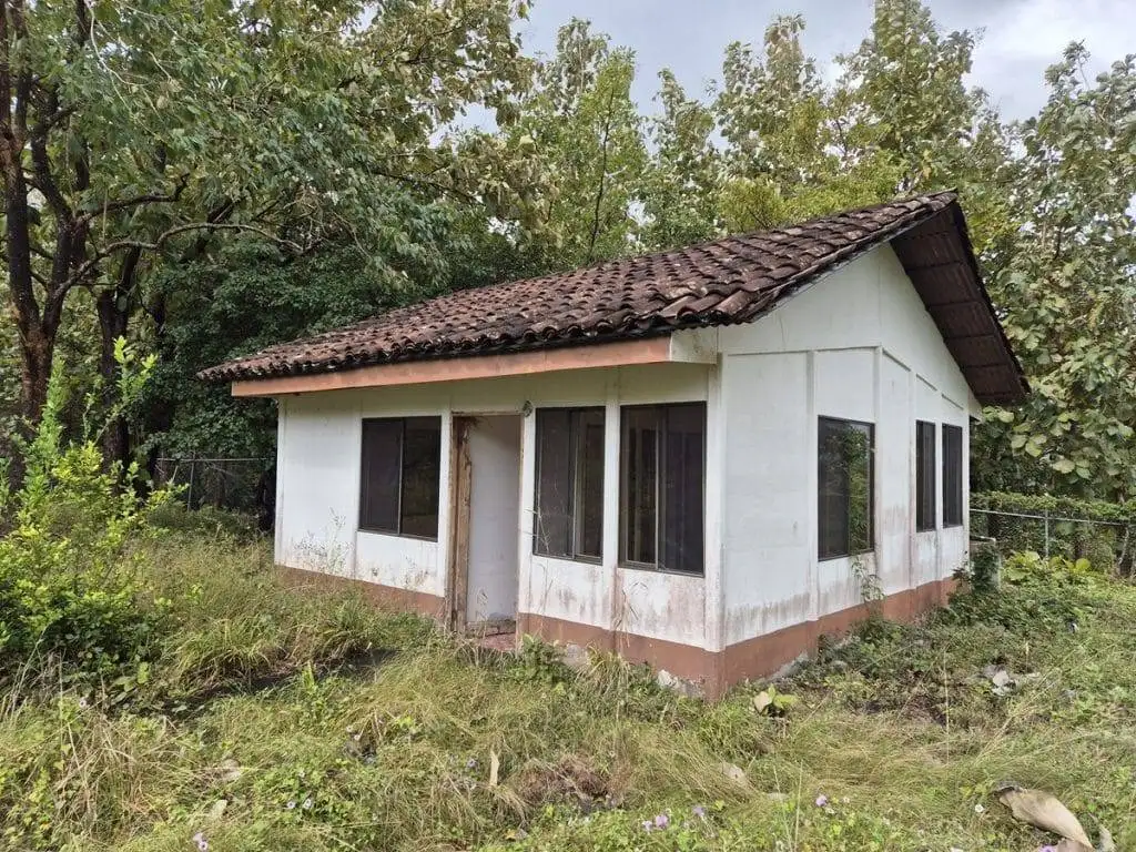 teak farm plantation for sale guanacaste (28)