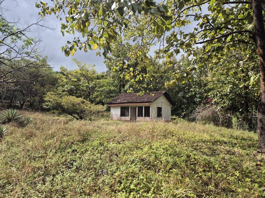 teak farm plantation for sale guanacaste (29)