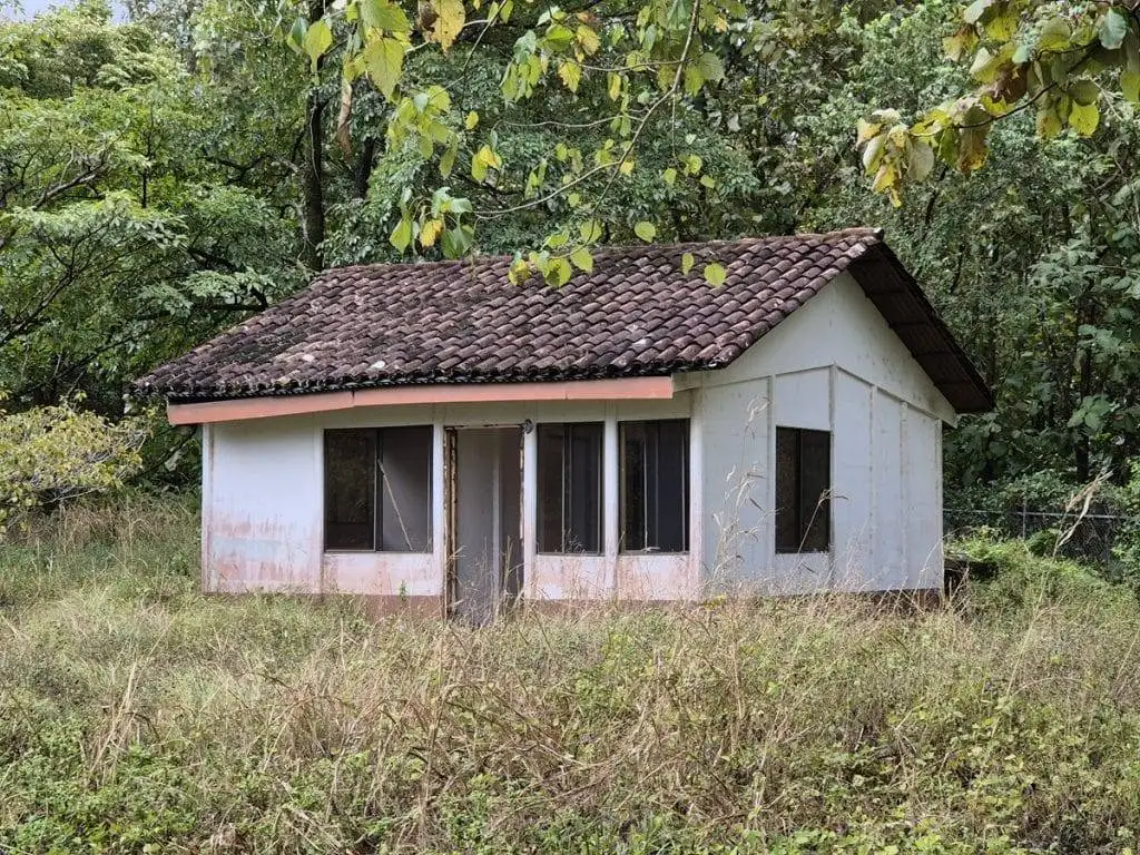 teak farm plantation for sale guanacaste (30)
