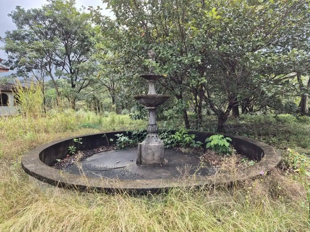 teak farm plantation for sale guanacaste (31)