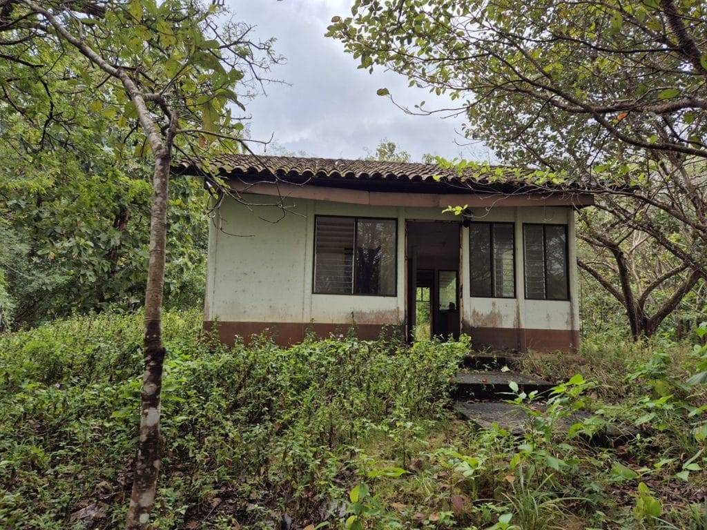 teak farm plantation for sale guanacaste (35)