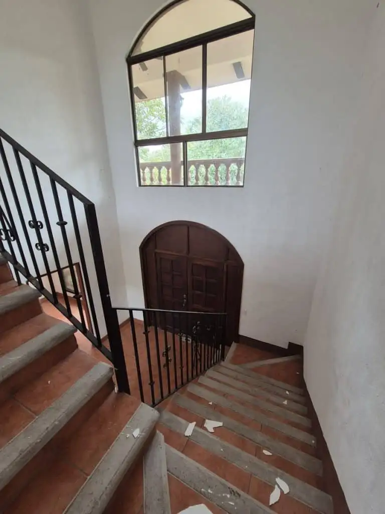 teak farm plantation for sale guanacaste (9)