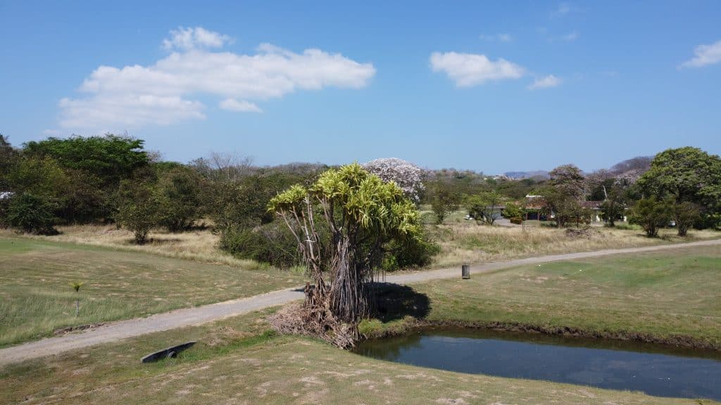 DCIM100MEDIADJI 0415.JPG