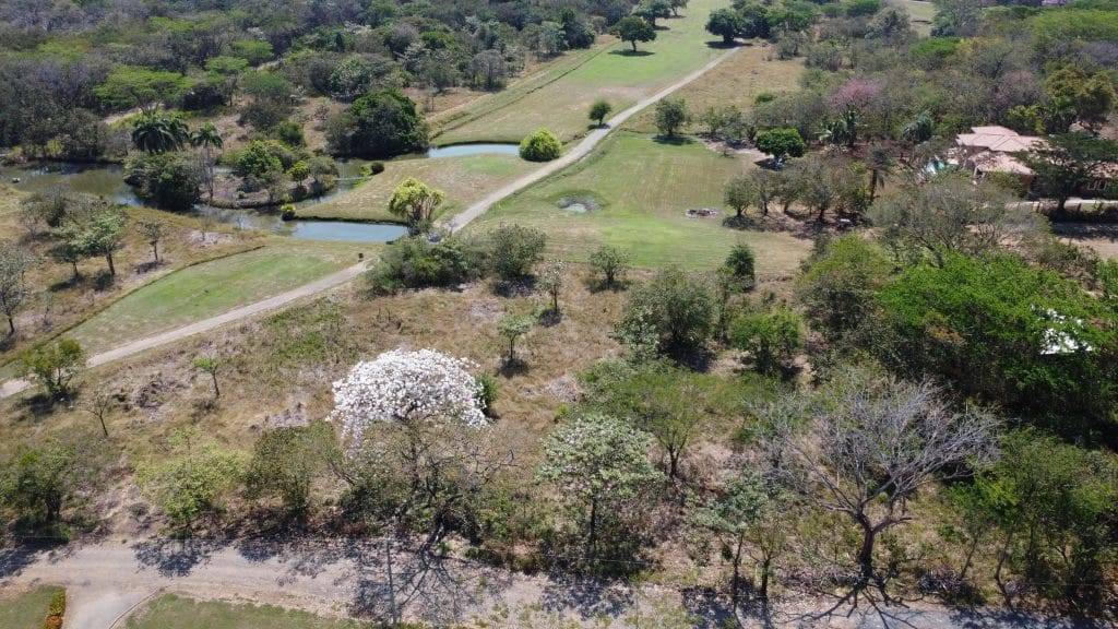 DCIM100MEDIADJI 0403.JPG