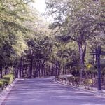 senderos tamarindo guanacaste costa rica (2)