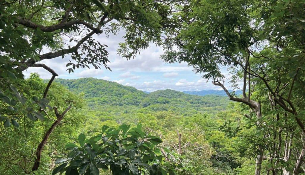 senderos tamarindo guanacaste land for sale 13f (3)