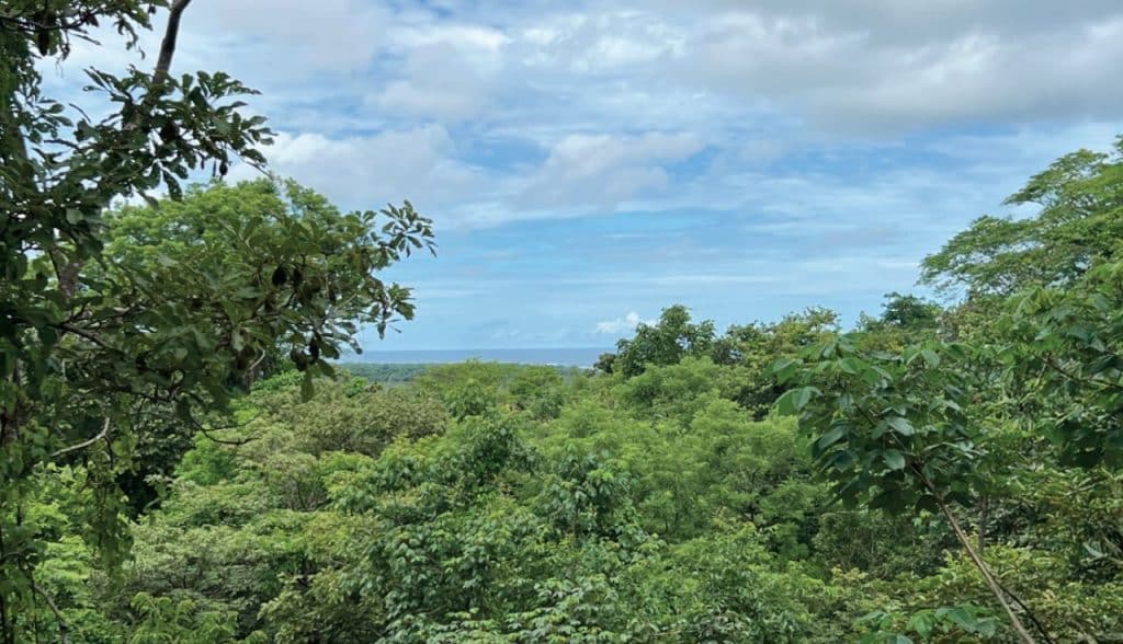 senderos tamarindo guanacaste land for sale 13f (4)