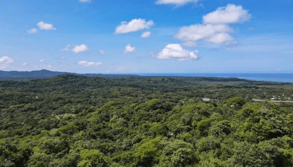 senderos tamarindo ocean view lot 6f (2)