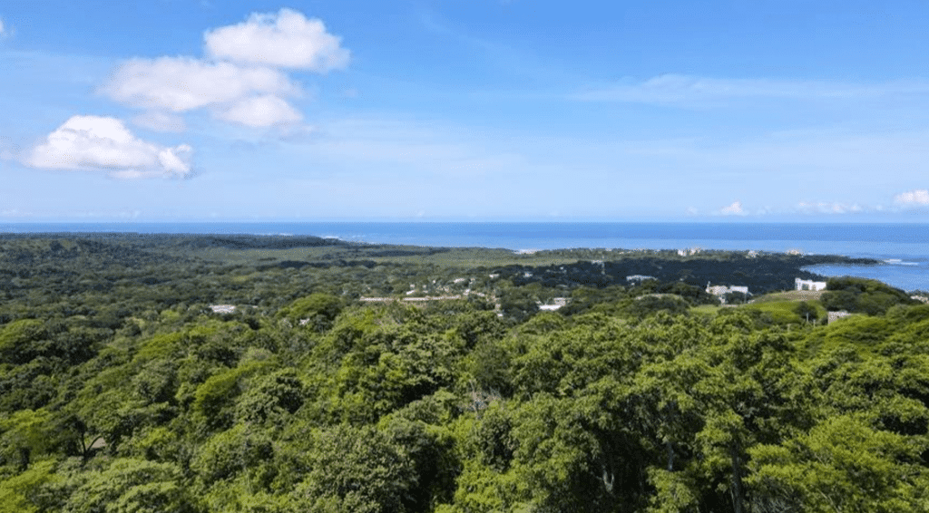 senderos tamarindo ocean view lot 6f (3)