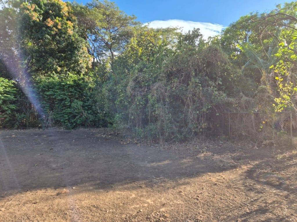 lots for sale libertad guanacaste (4)